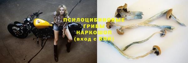 MESCALINE Алзамай