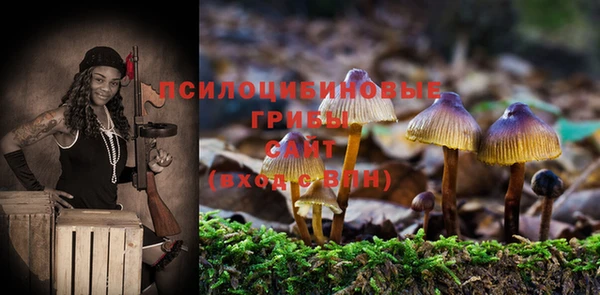 молекула духа Алексин